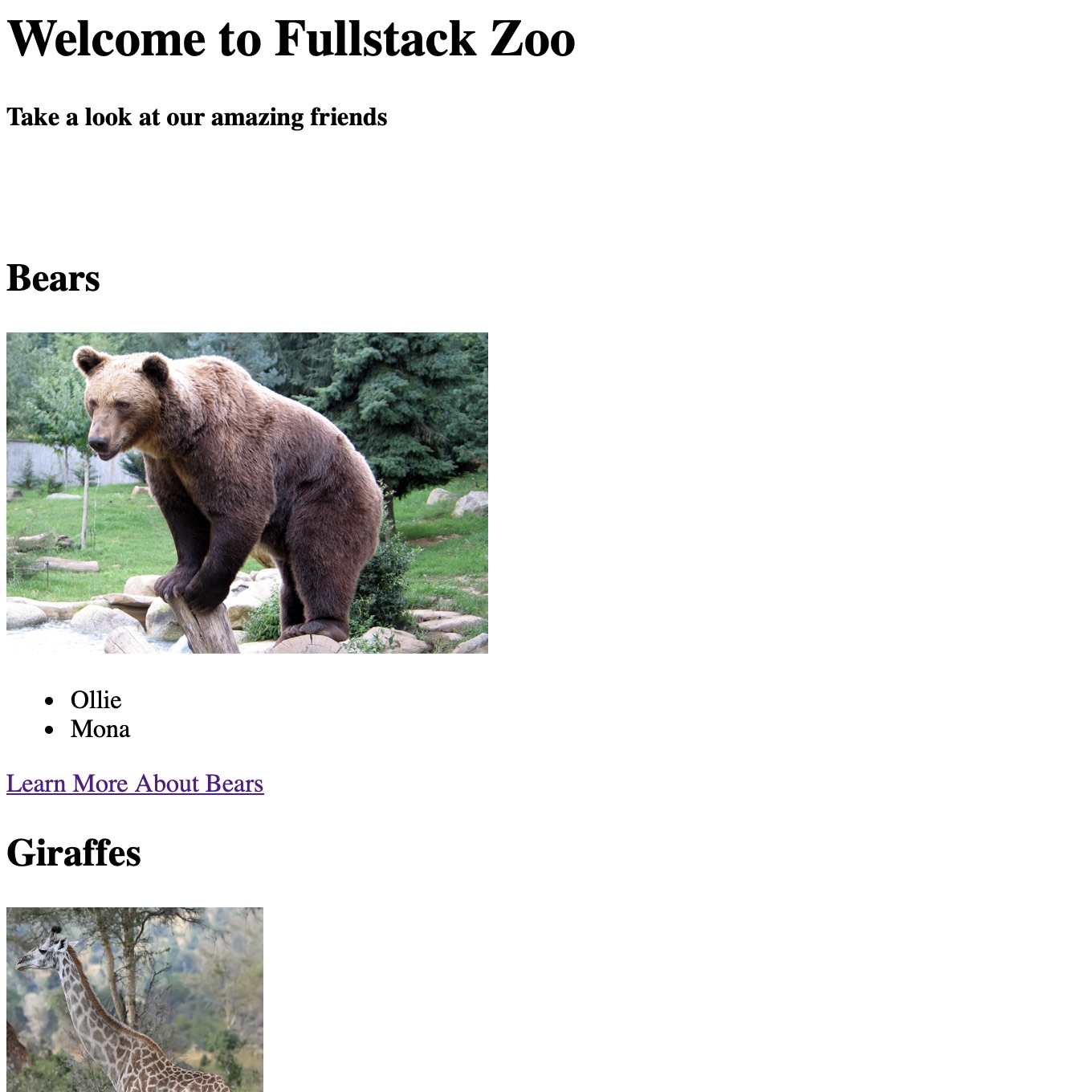 Project Zoo Website preview